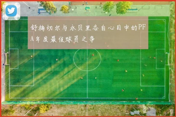 舒梅切尔与永贝里各自心目中的PFA年度最佳球员之争